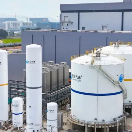 Cryogenic storage tank 