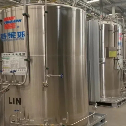 Cryogenic storage tank 