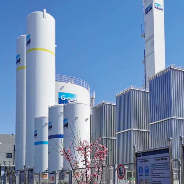 Chuzhou G-Gas gasification station EPC project